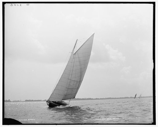 Pirate