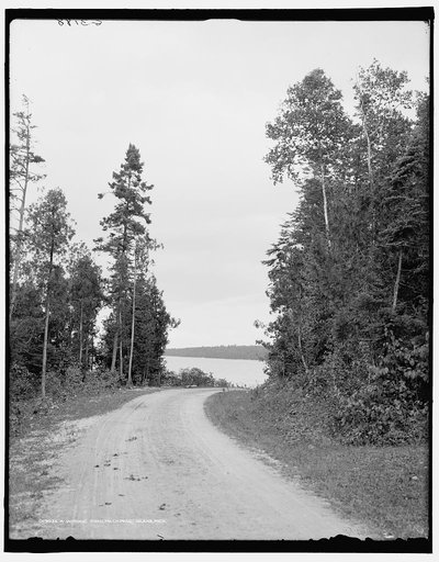 A Winding road, Mackinac Island, Mich.