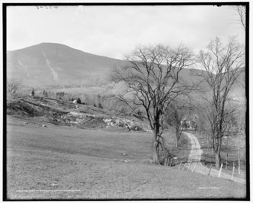 The Road to Greylock, Berkshire Hills, Mass.