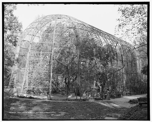 Great flying birdcage, zoo park, Washington, D.C.