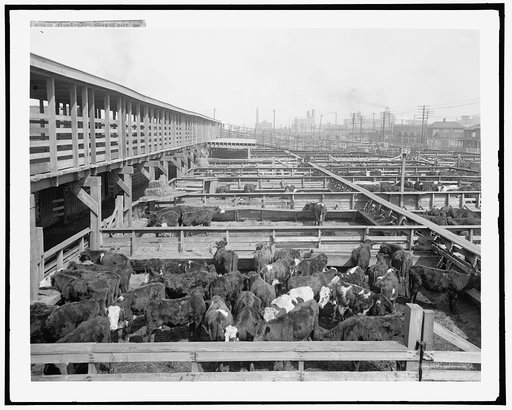 Stock yards, Kansas City, Mo.