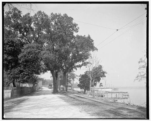 Back Bay Shell Road, Biloxi, Miss.