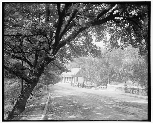 A Driveway in Burnet Woods, Cincinnati, Ohio
