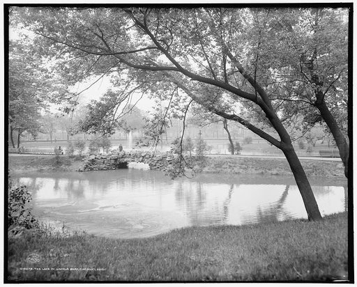 The Lake in Lincoln Park, Cincinnati, Ohio