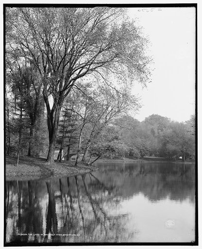The Lake in Prospect Park, Brooklyn, N.Y.