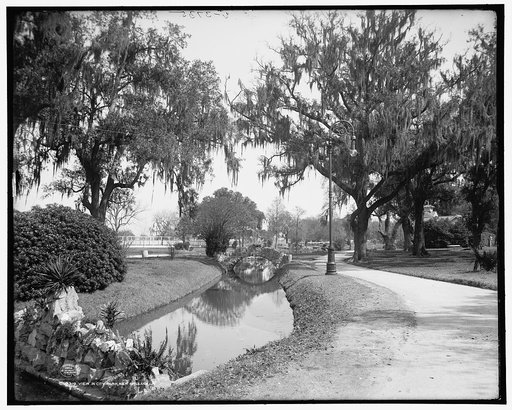 View in City Park, New Orleans, La.