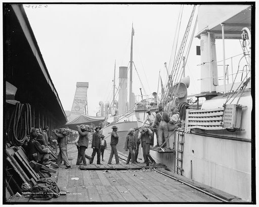 Unloading a banana steamer, Mobile, Ala.