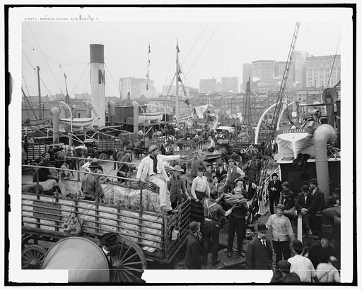 Banana docks, New York, N.Y.