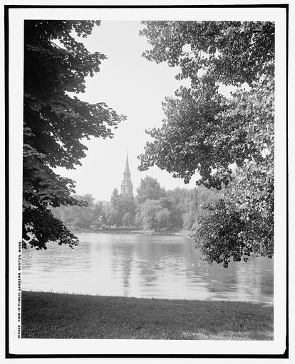 View in Public Gardens, Boston, Mass.
