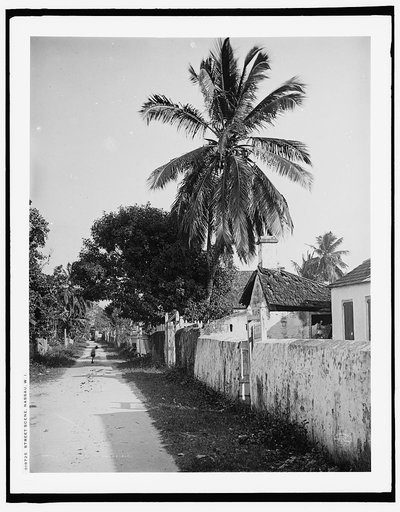 Street scene, Nassau, W.I.