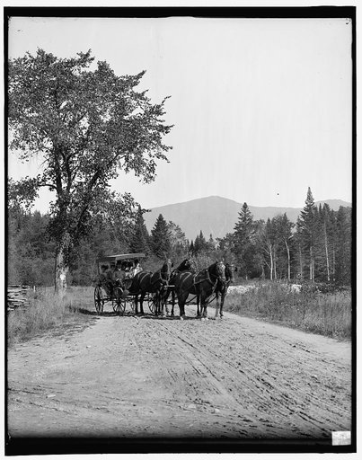 On the road to base of Mt. Washington, White Mts.,N.H.