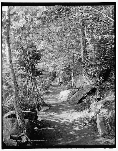 The Walk around Saco Lake, White Mountains, N.H.