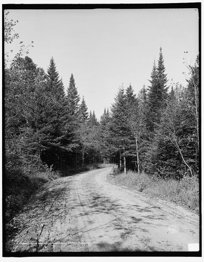 On the road from Crawfords [i.e. Crawford] to Bretton Woods, White Mts., N.H.