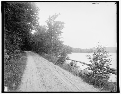 On the shore of Lake Spoffard [i.e. Spofford], Chesterfield, N.H.