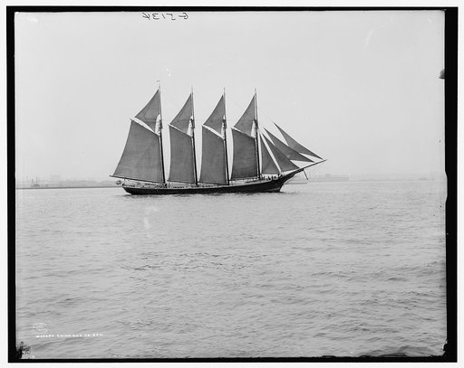 Going out to sea