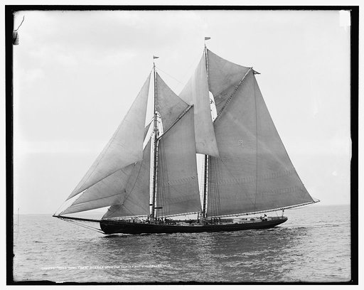 Rose Dorothea, winner of Lipton Cup, in first [?] Fishermen's Race