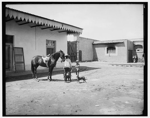Ready for a ride, Mexico