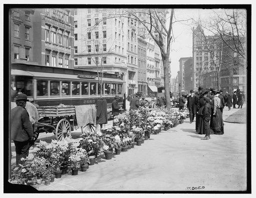 New York, flower vendors, Easter display