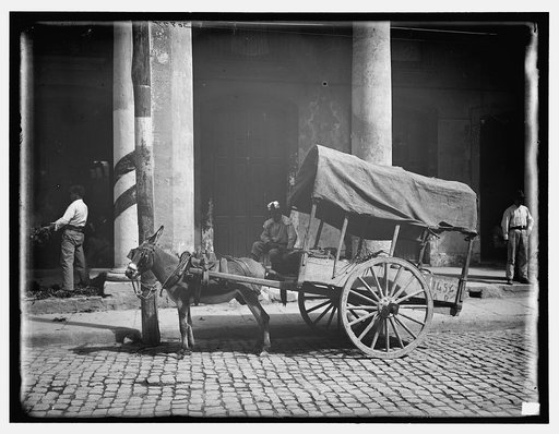 Coconut merchant's wagon, Havana, Cuba
