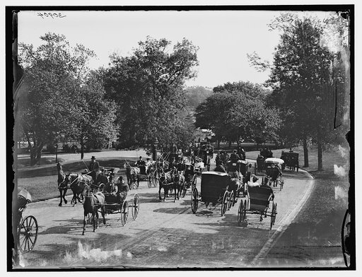 Carriages on boulevard in park