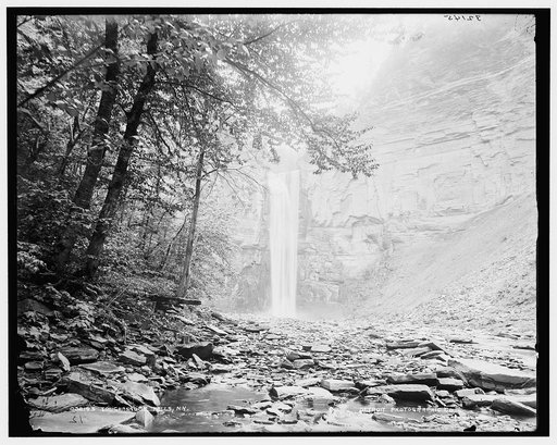 Toughannock [sic] Falls, N.Y.