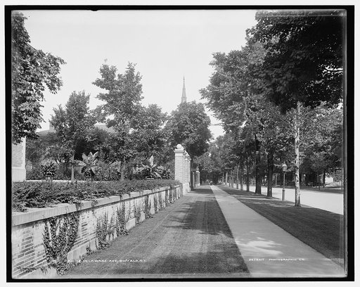 Delaware Ave., Buffalo, N.Y.