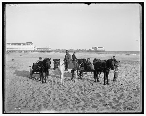 Ponies on the beach, Atlantic City, N.J.