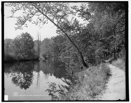 The Shore of paradise, Northampton, Mass.
