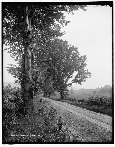 A Country road near Fishkill, N.Y.