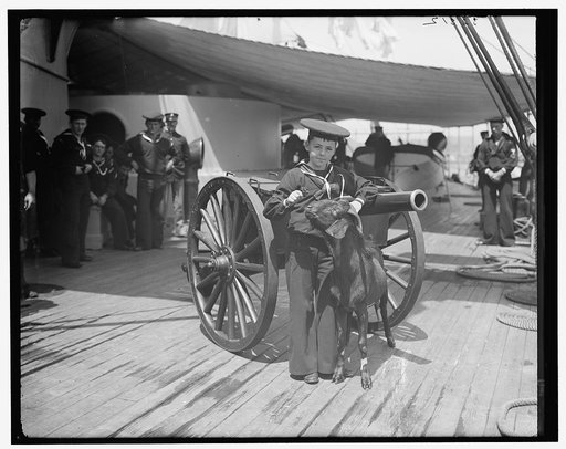 U.S.S. New York, Admiral Sampson's son and Pitch the Mascot