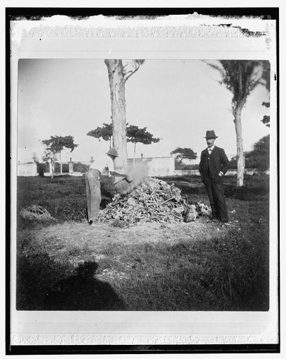 Heap of bones in the cemetery, Necropolis Cristobal Colon, Havana
