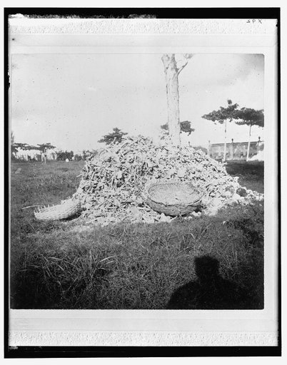 Heap of bones in the cemetery, Necropolis Cristobal Colon, Havana