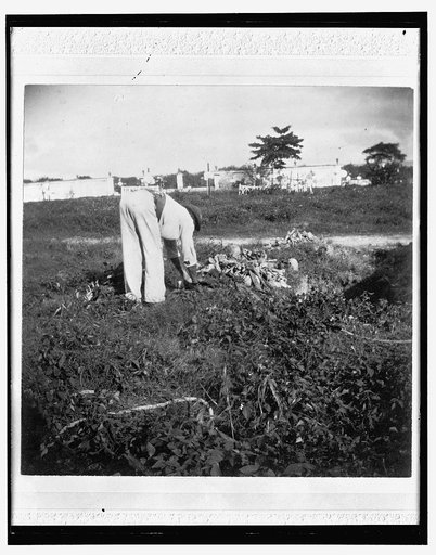 Heap of bones in cemetery, Necropolis Cristobal Colon, Havana