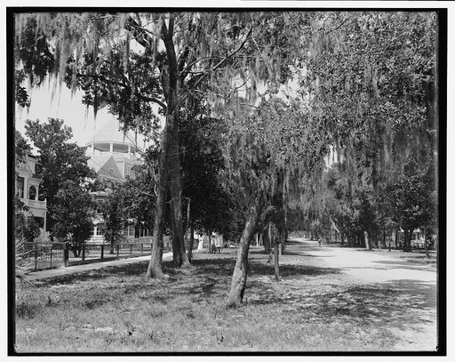 Ridgewood Avenue, Daytona, Fla.