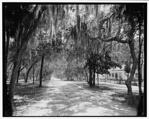 Ridgewood Avenue, Daytona, Fla.
