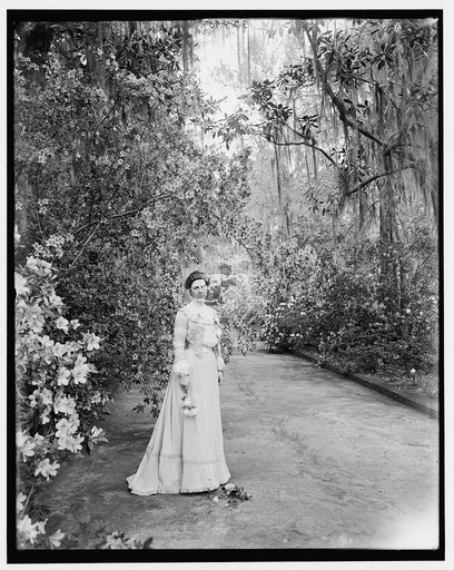Woman near flowering shrub at Magnolia Gardens, Charleston, S.C.