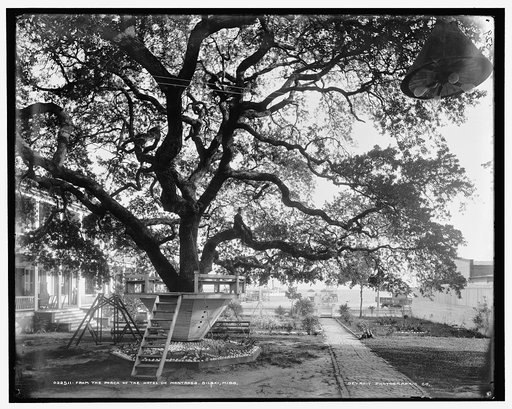 From the porch of the Hotel De Montrose, Biloxi, Miss.
