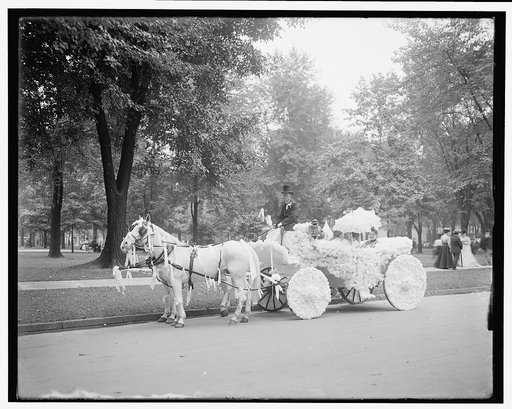 Bi-centenary celebration, floral parade, Ladies of the Maccabees, Detroit, Mich.