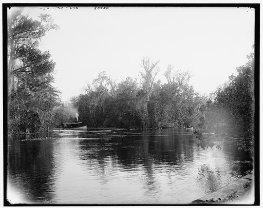 Junction of the Ocklawaha [sic] and Silver Springs rivers, Florida