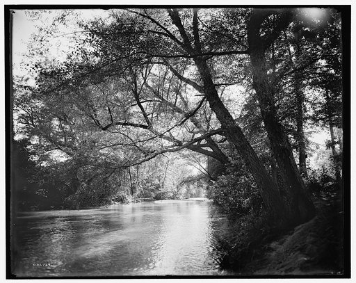 The Swannanoa near Kenilworth Inn, Asheville, N.C.