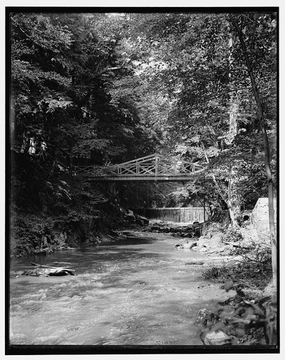 The Falls, Bronx Park, New York, N.Y.