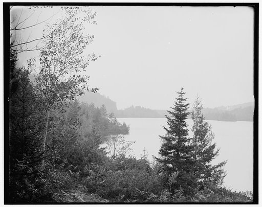Lower Loon Lake, Adirondack Mts., N.Y.