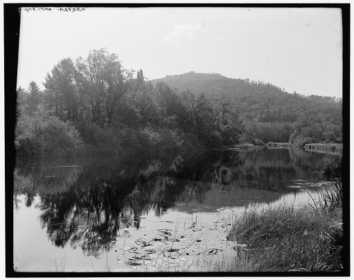 Saranac River below Saranac Lake, Adirondack Mts.,N.Y.