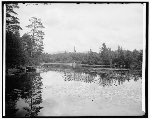 Saranac River below Bartlett's carry, Adirondack Mts., N.Y.