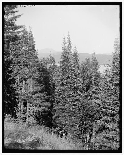 Blue Mountain from the crags, Adirondack Mts., N.Y.