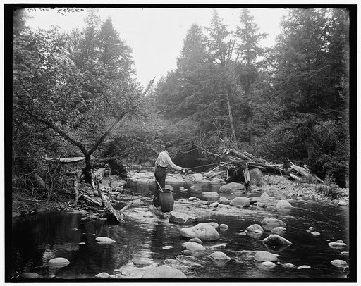 Fishing, Adirondack Mts., N.Y.