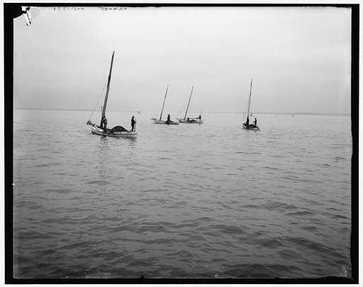 Oyster dredging