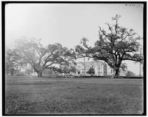 Tulane University, New Orleans, Louisiana