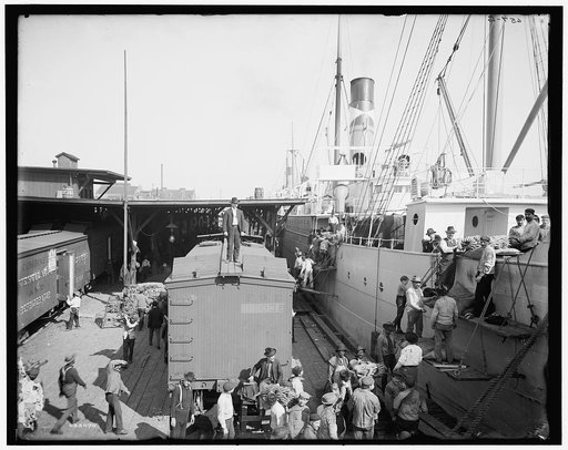 Unloading bananas, New Orleans, Louisiana