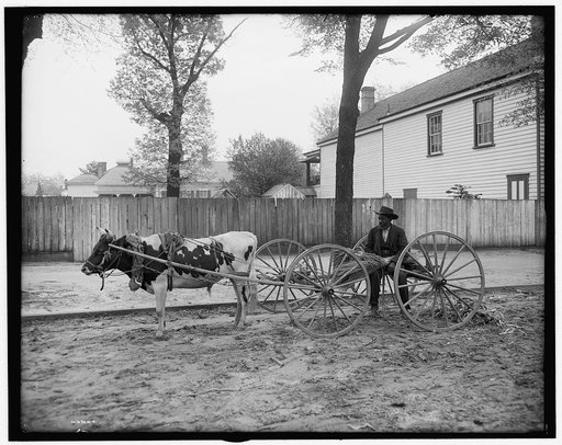 S.C. huckster, South Carolina